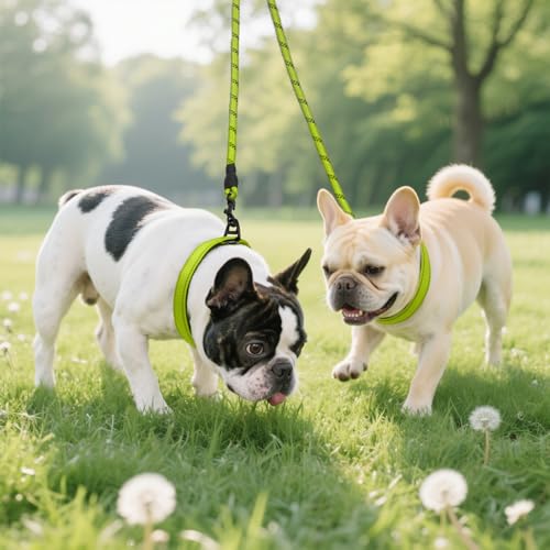Taglory Doppelte Leinen/Hundeleine Doppelleine für 2 Hunde/Keine Verwicklung Reflektierend Kletterseil/Verstellbar Splitterleinen/75cm, GRÜN