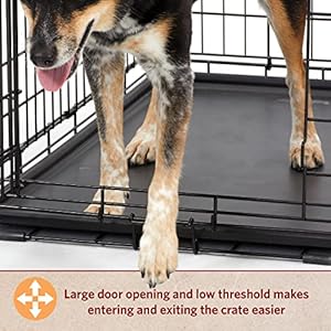 Medium dog crate | midwest life stages 30 double door folding metal dog breed crate | divider panel floor protecting feet  dog pan | 30 6l x 19 3w x 21 4h inches   cucciolini doodles