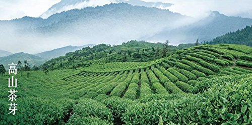 New Spring Tea 100G Pin Wei Class Te Ji Zhu Ye Qing Mount Emei Bamboo Leaf Green Tea Herbal Tea #TOP5
