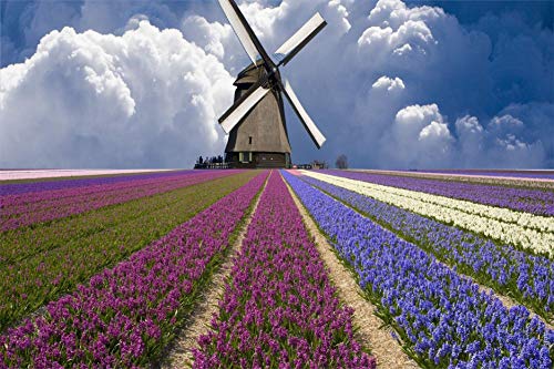 genmaimeima New 3D Wooden Paper Puzzle Toys -Flower field windmill- wooden assembling Decoration for the Home Toy game
