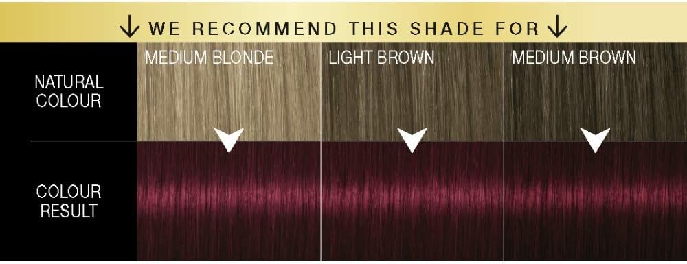 Schwarzkopf Oleo Intense Red Hair Dye, 3-Pack Permanent Oil Colour, No Ammonia, Covers Greys, Burgundy Red 4-23 - Image 4