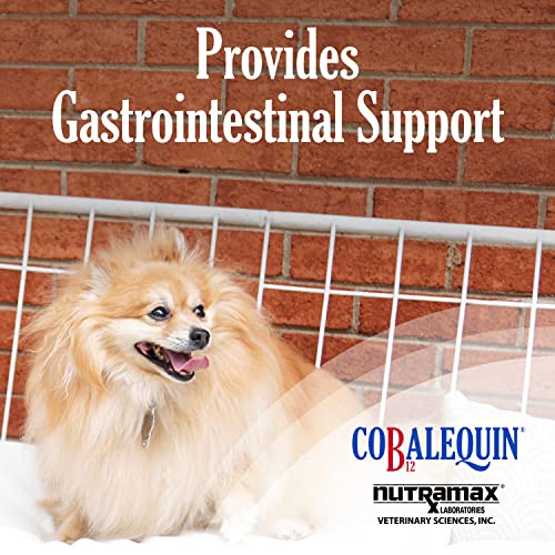 Nutramax Cobalequin B12 Supplement For Cats And Small Dogs, 45 Count (Pack Of 1) #TOP2