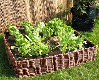 Master Garden Products Deep Woven Willow Raised Bed, 48 x 48 x 12-Inch Brown