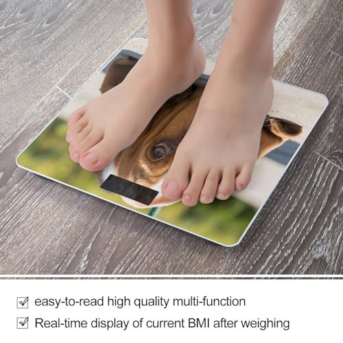 Báscula Digital de Baño con Pantalla LCD miniatura 5