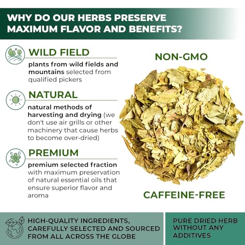 Image of 100 Bags Senna Leaf Senna Leaves Tea Herbal Tea (Senna Alexandrina) - 100 Count 1.5g Bags Hoja De Sen Hojas De Sen Para Te