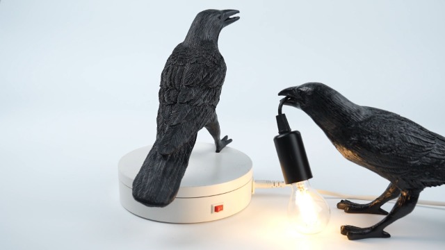 HGomx Raven Desk Lamp - Resin LED Bird Lamp for Bedroom/Office