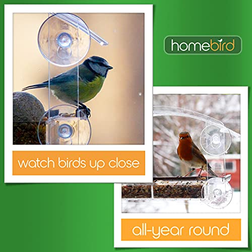Window-Bird-Feeders-with-Strong-Suction-Cups-Home-Bird-Suction-Cup-Bird-Feeder-Window-Clear-Bird-Feeders-for-Window-Bird-Feeder-House-Wild-Life-Lovers