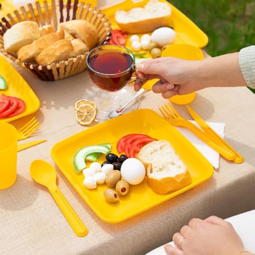 Orret Home 32 Parça Plastik Piknik Seti, Tabak, Çatal, Kaşık, Bıçak, Bardak, Kamp ve Piknik İçin Taşıma Kutulu, Dayanıklı ve Renkli, Açık Hava Etkinlikleri İçin İdeal