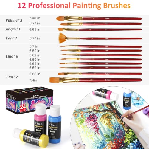Image of Caliart 24 Chameleon Colors Iridescent Acrylic Paint Set with 12 Brushes ﻿ | Craft Painting kit for Adults Artists Beginners, Rich Pigment Non-toxic, Canvas Wood Rock Pumpkin Ceramic Art Supplies Paint