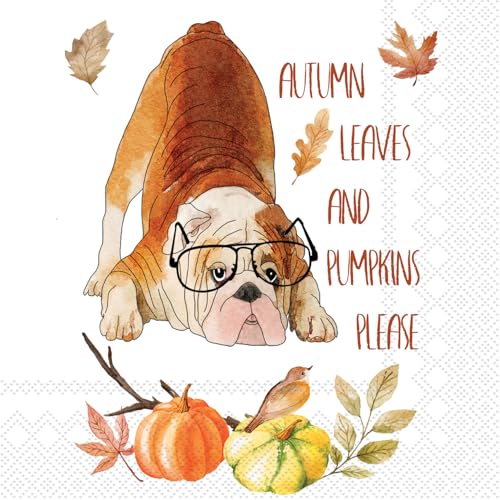 IHR Ideal Home Range Cocktail Napkins Disposable 3-Ply Paper Party Napkin Pack 5 x 5 Autumn Leaves Pumpkins Please 20-Count