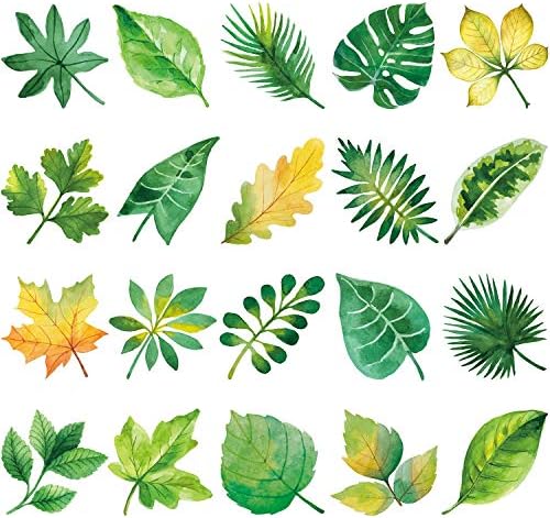 Outus 20 Pieces Window Decals for Bird Strikes, Anti-collision Birds Window Clings Leaf Shapes Prevention Stickers Prevent People and Bird Strikes on Window Glass