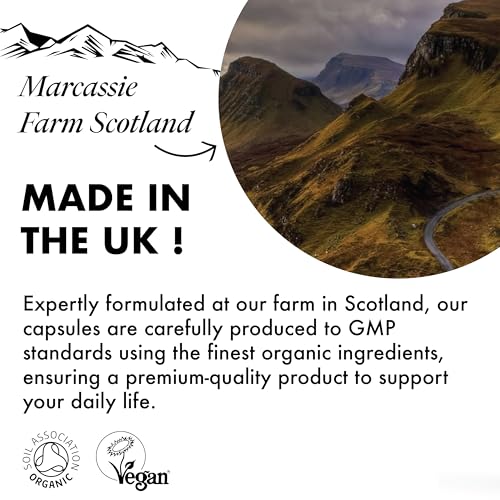 Love Mushrooms Organic Lion’s Mane Capsules 4,000mg per Serving | High Strength Mushroom Extract for Memory, Focus & Cognitive Support | Vegan, Plant Based Food Supplement, UK Made | 60 Capsules - Image 4