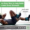 Gaiam Wrist and Ankle Weights, Wearable Bracelet to Strengthen, Tone & Sculpt, Adjustable Ankle Weights for Women & Men for Yoga, Dance, Pilates, Barre, Cardio, Home & Gym Use