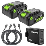 Greenworks Confezione da 2 batterie USB-C ad alta potenza da 24 V 4 Ah e caricabatterie USB-C da 65 W e cavo da 100 W, batteria agli ioni di litio adatta per tutti i dispositivi 200+ Greenworks 24 V