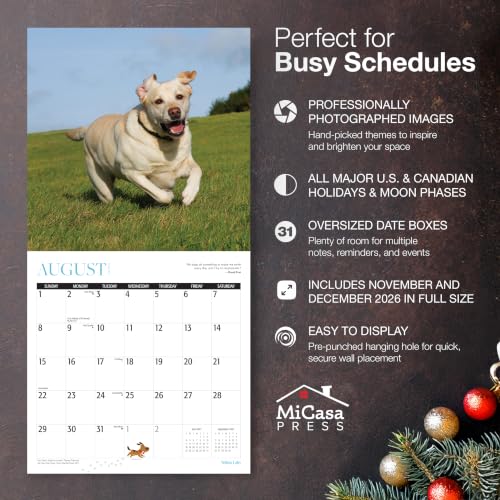 Image of MICASA PRESS Yellow Labs 2027 Wall Calendar 12 Month | 12 inch x 24 inch Open