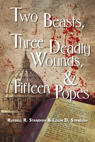 Two Beast Three Deadly Wounds view 2
