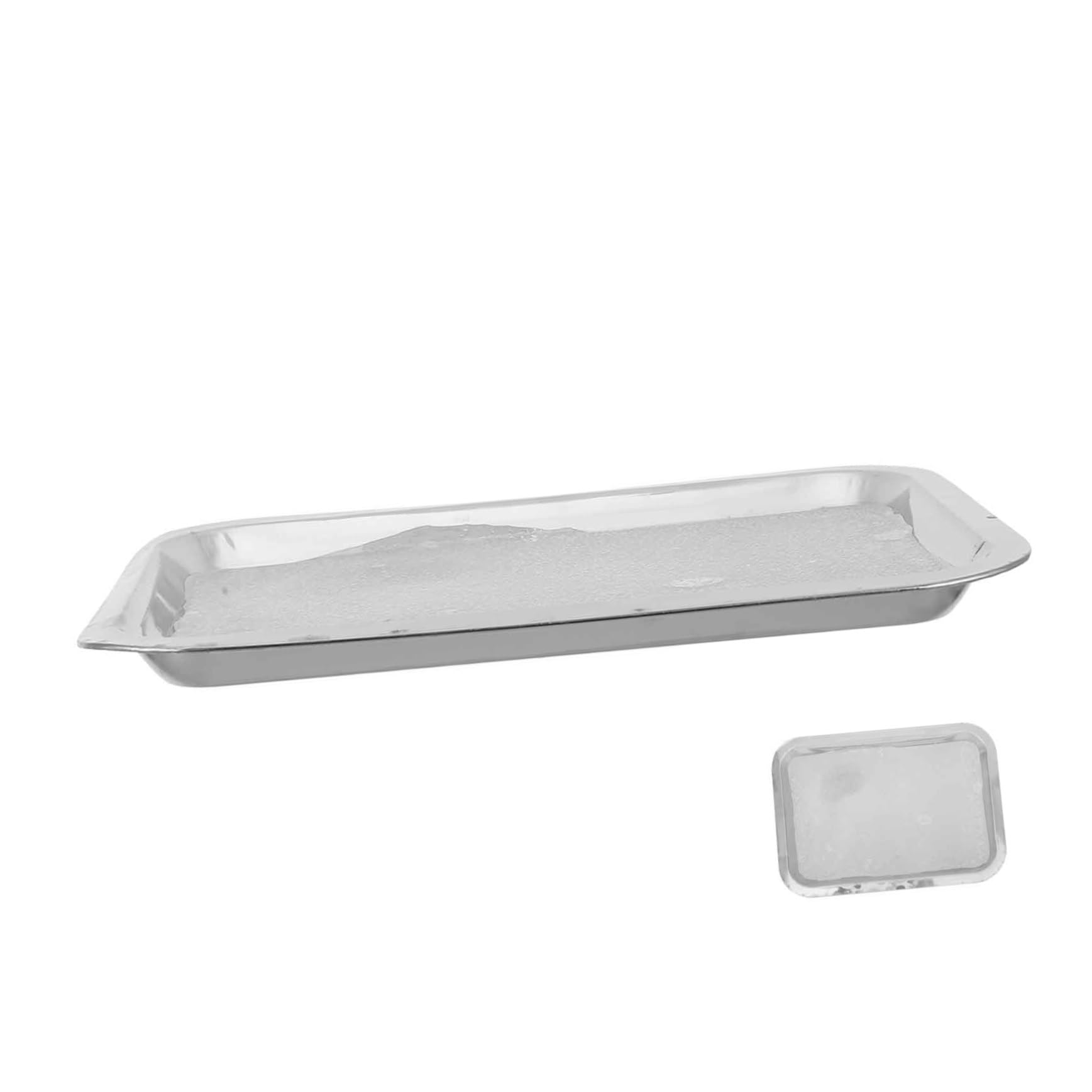 ULTECHNOVO Plateau de Laboratoire Facile à Nettoyer en Acier Inoxydable 19x26 Cm, Plateau de Dissection Réutilisable Pratique pour Usage Professionnel et Laboratoire de Biologie
