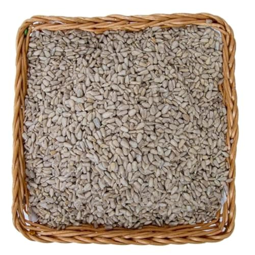 Raw Sunflower Seeds Without Shell 200 g Approx.