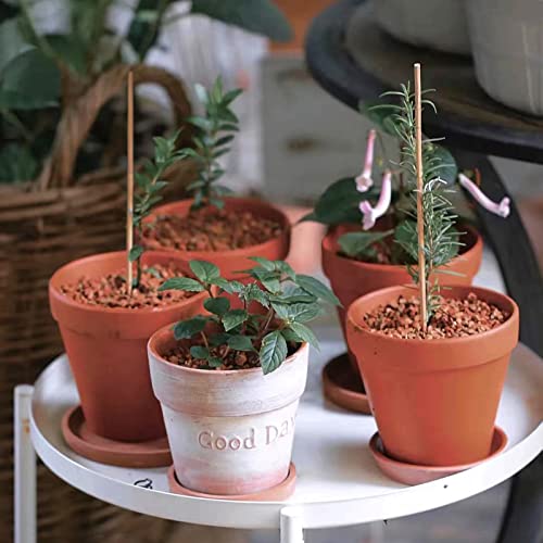 Image of COLOtime Bamboo Sticks 16 Inch Plant Stakes Garden Stakes for Indoor Potted Climbing Plants Poles Support Orchid Daffodils 30 Pack