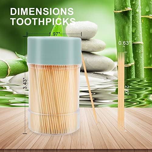 bamboo toothpicks 3000 count - with reusable toothpick holder sturdy smooth finish tooth picks for party appetizer olive barbecue fruit and teeth cleaning green