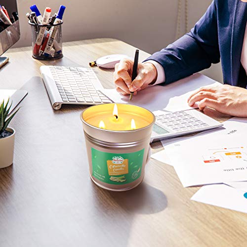 2 Packs Large Citronella Candles Outdoor Indoor, 110 Hours Burn 20 Oz 3-Wick Scented Candles, Soy Wax Fly Candle For Home Garden Patio Yard Camping Balcony Travel #TOP5