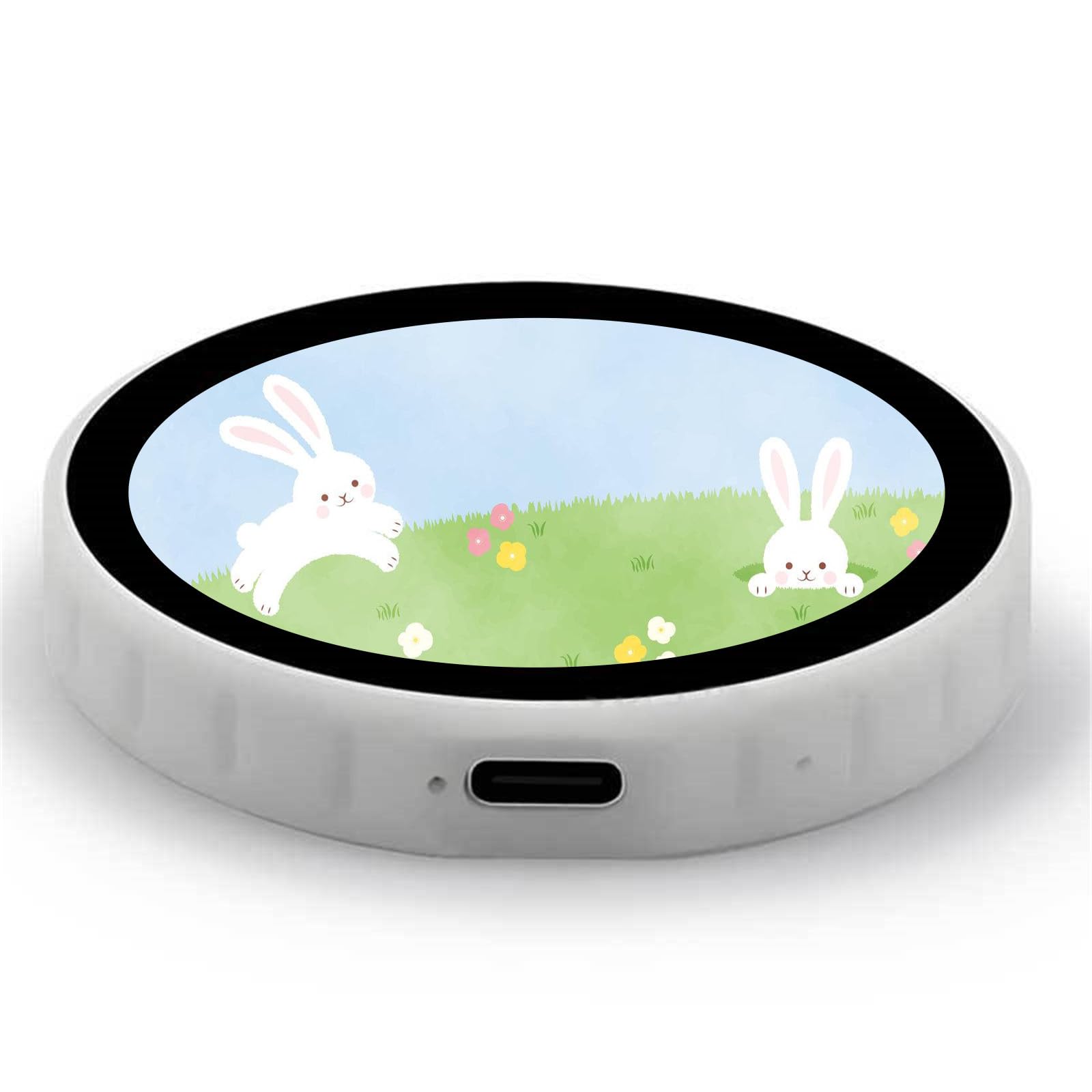 NUEAYMS Scheda Sviluppo Schermo LCD Rotondo Integrato da 1, 85 Piedi per Intelligence Voice Talk Robot Xiaozi Componente Sviluppo coerente