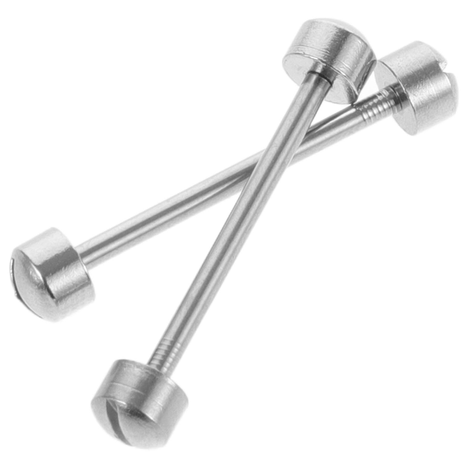 VICASKY 2 Piezas Varilla de Tornillo para Correa de Reloj de 16mm