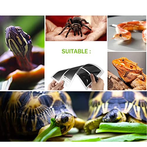 Xiehuza Reptile Heating Mat With Temperature Adjustment thumb #6