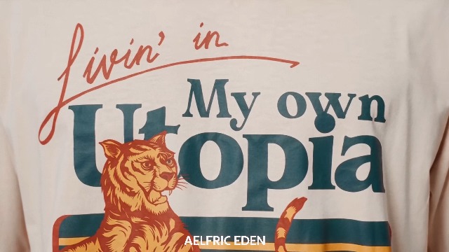 Aelfric Eden Mens Oversized T Shirts Tees Tiger Graphic Tee Print