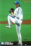 カルビー2007 プロ野球チップス 第一弾 レギュラーカード No.16 涌井秀章