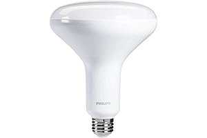 Philips 65W LED Flood Light Bulb Makes Night as Bright as Day with Daylight Lighting