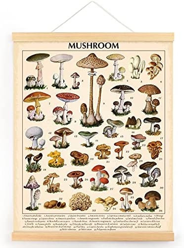 Vintage Mushroom Poster Fungus Wall Art Prints Rustic Mushroom Wall Hanging Illustrative Reference Chart Poster for Living Room Office Classroom Bedroom Dining Room Decor Frame, 15.7 x 19.7 Inches