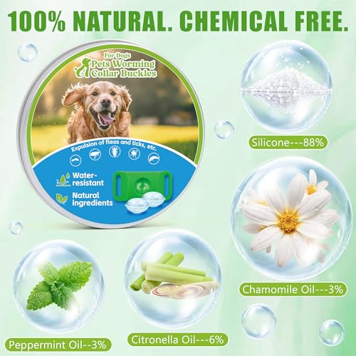 Natural Flea and Tick Prevention Dog Tag – Waterproof Collar Pendant with 2 Extra Refills, Green, Safe for All Breeds Collar Not Included - Thumbnail 3