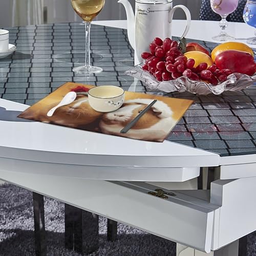 Set de table cochon d'inde lavable et résistant chaleur pour protection table cuisine x6 - 5