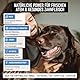 TESTNOTE SEHR GUT - Dentalspray für Hunde & Katzen 200 ml - Zahnpflege Dental Spray gegen Mundgeruch und zur Vorbeugung von Zahnstein- Zahnreinigung & Zahnsteinentfernung 100% natürlich Golden Pets