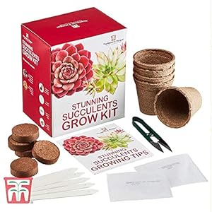 Succulent Seed Grow Kit Gardeners Gift Grow Your Own Succulent Plants, Great Gardening Present, Sempervivum Mixed Seeds…