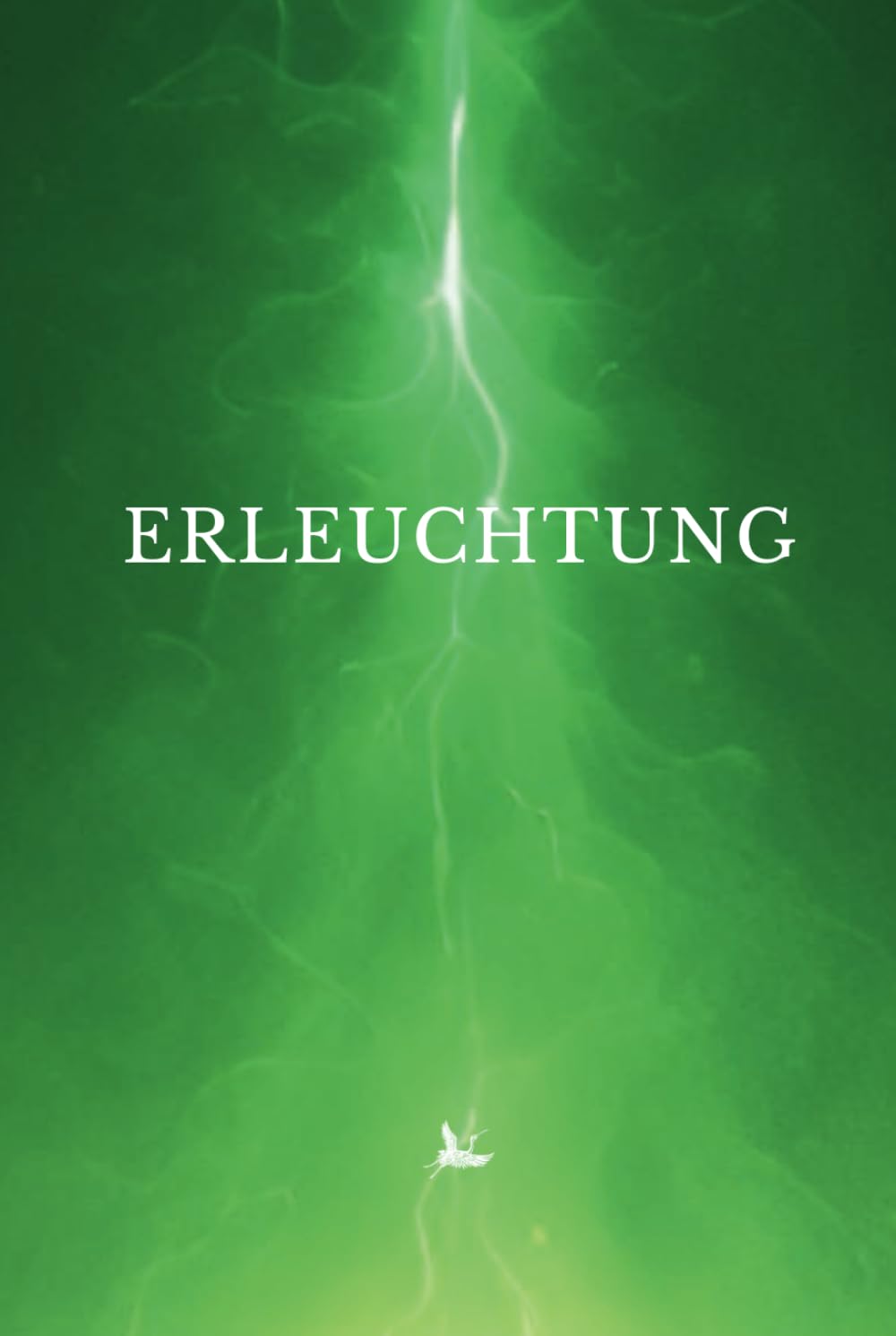 Erleuchtung: N-Ton Chanten - Der direkte Weg