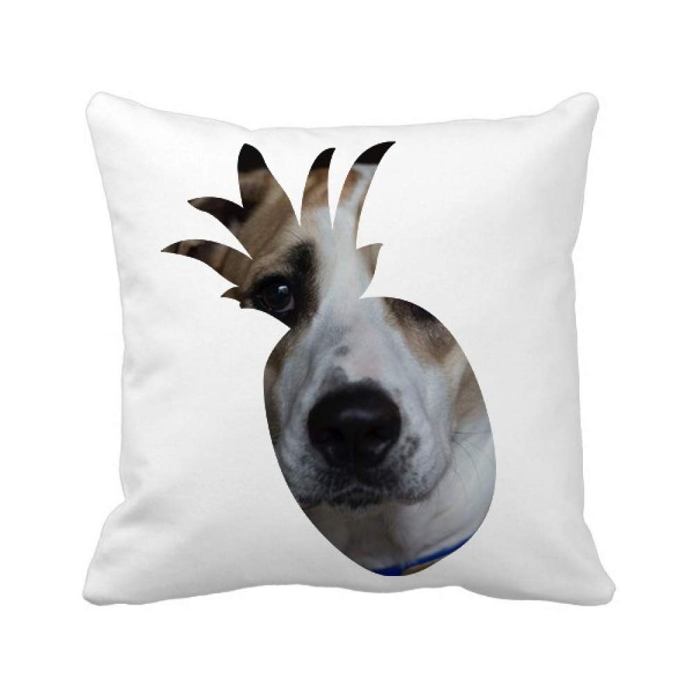Coussin ananas anti tache housse décoration canapé motif chien