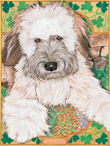 Wheaten Terrier Blank Note Cards Boxed