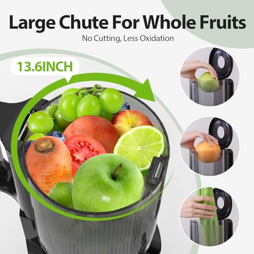 Aeitto Wide-Chute Cold Press Juicer