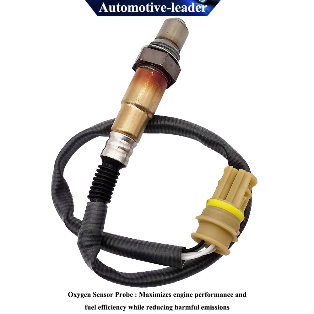 VL800様！メルカリ便！P.willinckii OMG spore 2406 VL800様！メルカリ便！P.willinckii OMG spore 2406