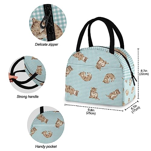 Senya Lunch Bag Insulated Lunchbox Handbag Tote Bags Cute Cat Plaid Reusable Cooler Containers Organizer School Outdoor For Women Men Girls Boys Kids #TOP3
