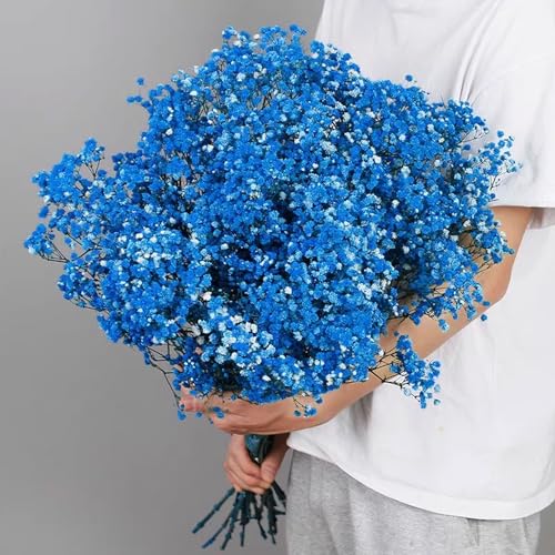 Dried Baby's Breath Flowers Bouquet Natural Dried Flowers Baby's Breath Real Gypsophila Branches for Wedding Table Vase Party Garden DIY Wreath Floral Home Decor(Sapphire blue) - Image 3