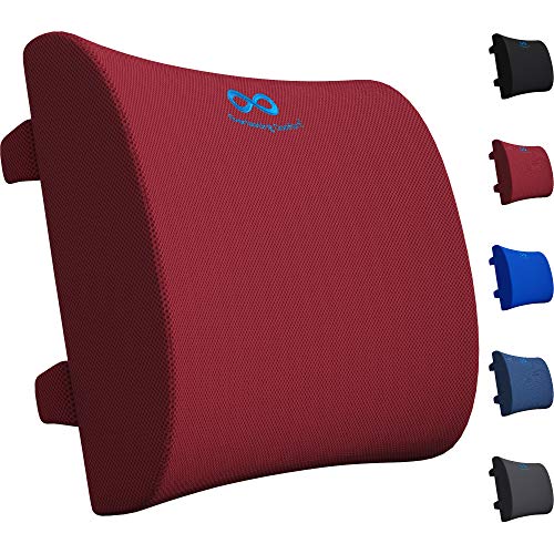 Everlasting comfort lumbar support pillow for office de…