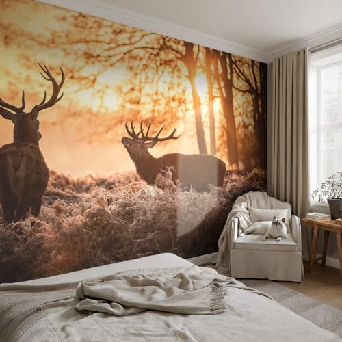 Revêtement mural intissé 312x219 cm décoration salon colle incluse et lavable - 3