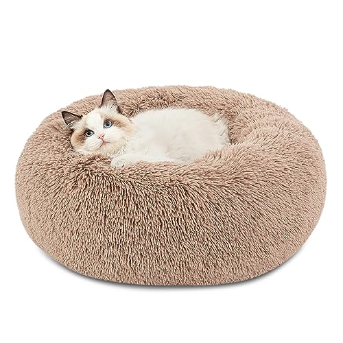 Bedsure Calming Cat Beds for Indoor Cats - Small Cat Bed Washable...