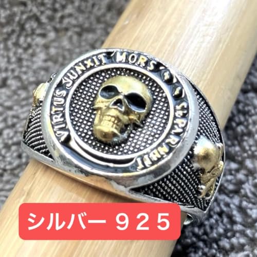 20 Vo[ 925 O 925  w 傫 XJ hN c re[