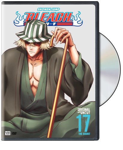 Bleach, Vol. 17