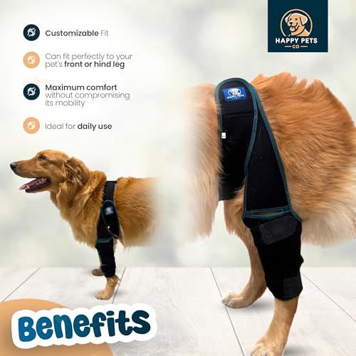 Image of Dog Knee Brace Adjustable Front Hind Leg Brace for Cruciate Ligament Injury, Luxating Patella, Torn ACL