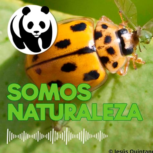 Page de couverture de Aliados naturales 🐞 - Ep. 14